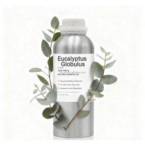 Eucalyptus Globulus Oil Manufacturer - 100% Pure Non-alcoholic for Toothpaste Mouthwash