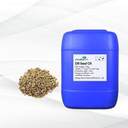 Dill Seed Essential Oil Manufacturer - Premium 100% Natural Therapeutic Grade for Aromatherapy