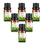 Argan Essential Oil Manufacturer - Low Price Hot Sell for Hair Care Skin Care Free Sample