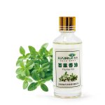 Thyme Essential Oil Manufacturer - Bulk Seller Steam Distillation Natural Oil