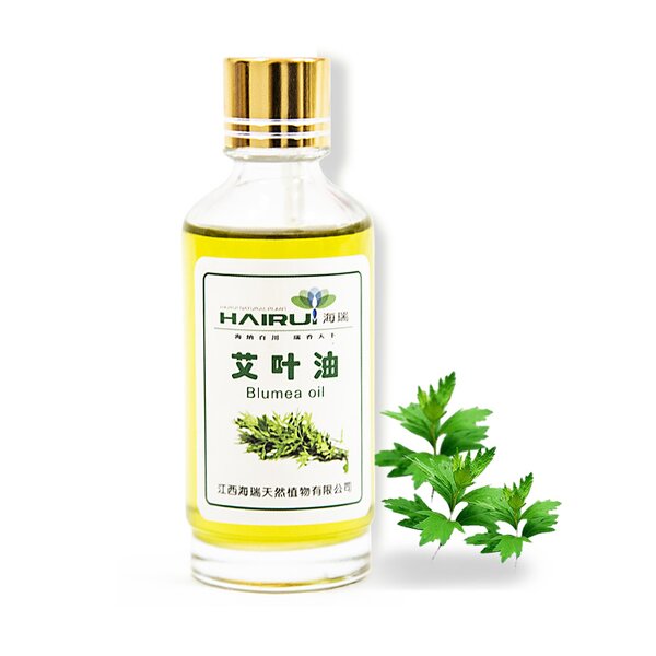 Wormwood Essential Oil Manufacturer - Pure Natural Bulk Price Essential Oil