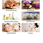 Thyme Essential Oil Manufacturer - Bulk Seller Steam Distillation Natural Oil