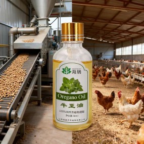 Oregano Oil Manufacturer - Feed Grade Over 80% Carvacrol Pure Natural
