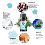 Cedarwood Oil Manufacturer - Factory Offers High Quality for Aromatherapy Making Spice