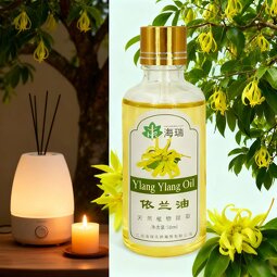 Ylang Ylang Flower Oil Manufacturer - Wholesale Bulk 100% Natural Pure Essential Diffuser Oil