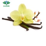 Vanilla Essential Oil Manufacturer - 10ml Long-lasting Fragrance for Aromatherapy Perfumes