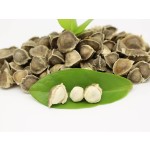 Moringa Seed Oil Manufacturer - Best Selling Low Priced Organic for Cosmetics Hair Care