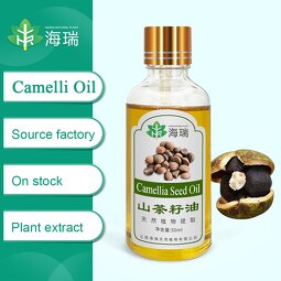 Camellia Oil Manufacturer - Chinese Organic Cold Pressed 1L Carrier Oil