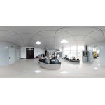 Litsea Cubeba Essential Oil Manufacturer - Factory Direct Price 100% Seed Oil