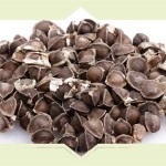 Moringa Seed Oil Manufacturer - 100% Pure Organic Bulk for Hair Oil