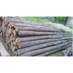 Cedarwood Oil Manufacturer - Factory Offers High Quality for Aromatherapy Making Spice