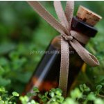 Peppermint Essential Oil Manufacturer - Free Sample Supply Wholesale Price 100% Pure