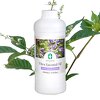 Ji'an Hairui Natural Plant Co., Ltd.