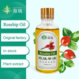 Rosehip Essential Oil Manufacturer - Hairui Supply Pure Plant Extract Cosmetic Grade