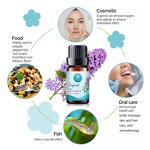 Eugenol Manufacturer - Chinese Own Brand Bulk Wholesale Plant Aroma for Skin Flavor