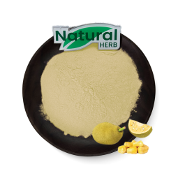 Jackfruit Powder Factory - 100% Natural Freeze-Dried Juice Powder Capsules