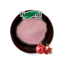 Pomegranate Fruit Powder Manufacturer - Supply High Quality Bulk Instant