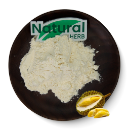Durian Powder Supplier - Factory Outlet Freeze-Dried Extract Hot Selling