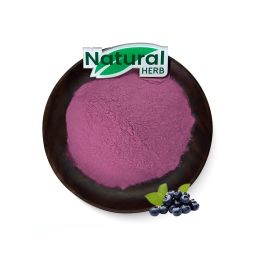 Bilberry Extract Supplier - Wholesale Food Grade Organic Juice Powder in Drum