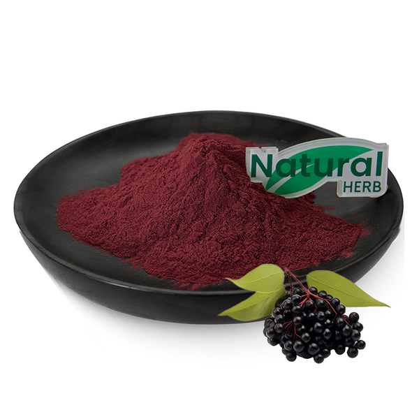 Elderberry Powder Supplier - Wholesale Black Elderberry Extract Powder Bag
