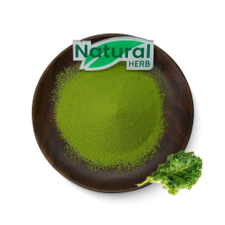 Kale Leaf Powder Manufacturer - Organic Nutritional Supplement Water Soluble