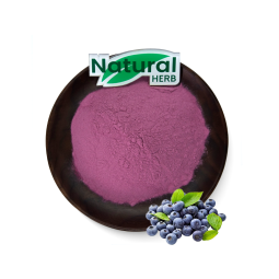 Blueberry Powder Manufacturer - Pure Blueberry Fruit Natural Food Grade