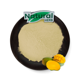 Mango Fruit Powder Manufacturer - 100% Natural Mango Fruit Juice Powder
