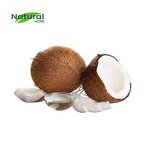 Coconut Oil Powder Factory - Organic Food Grade MCT Powder White Bulk