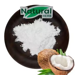 Coconut Powder Supplier - Ready to Use Water Soluble Organic Coconut Powder