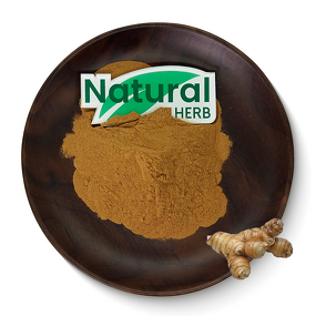 Galangal Root Extract Factory - Organic Dried Halal Certified Food Grade