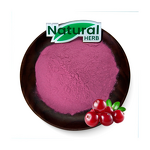 Cranberry Powder Manufacturer - Wholesale Bulk 100% Natural Concentrate Juice