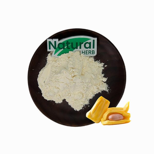 Jackfruit Powder Manufacturer - Hot Sale Organic Food Grade Fruit Extract