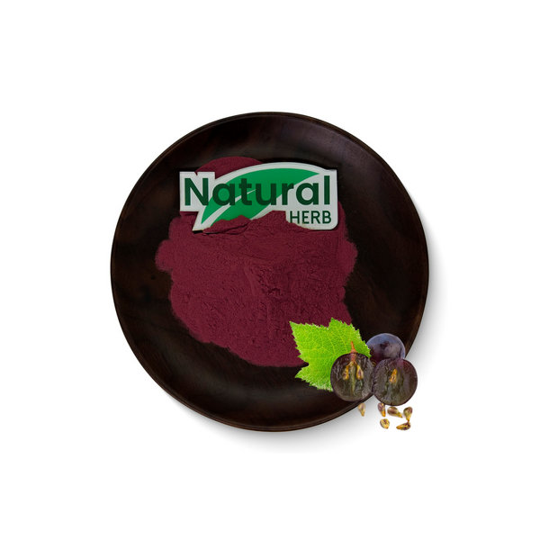 Grape Seed Extract Powder Factory - Food Grade Natural OPC Polyphenols in Drum