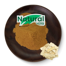 Astragalus Root Extract Supplier - Direct Sales Saponin Astragalus Polysaccharide