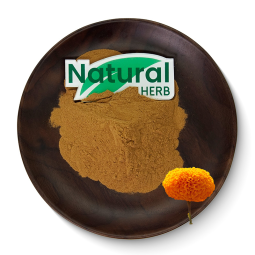 Marigold Extract Manufacturer - Factory Made Natural Organic Raw Materials