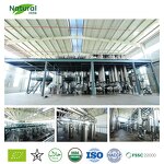 Dipotassium Glycyrrhizinate Powder Supplier - Cosmetic Grade 68797-35-3 CAS Drum