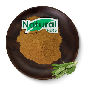 Sage Leaf Extract Supplier - Food Grade 100% Pure Sage Powder Carnosic Acid
