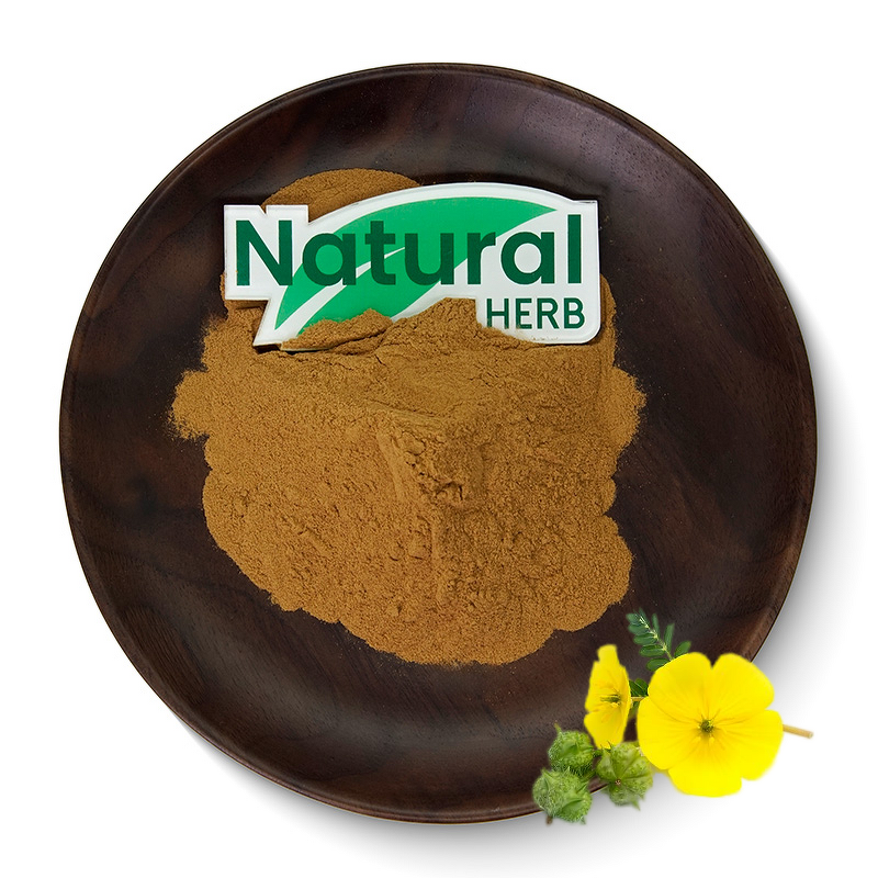Tribulus Terrestris Extract Factory - High Quality Natural Herbal Extract Powder