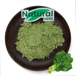 Kale Juice Powder Supplier - Factory Supply Food Grade Organic Vegetable Powder