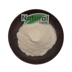 Yacon Powder Supplier - High Quality Low Calorie 100% Natural Concentrate