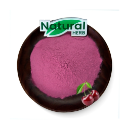 Cherry Fruit Extract Powder Supplier - Food Grade Water Soluble Vitamin-Infused