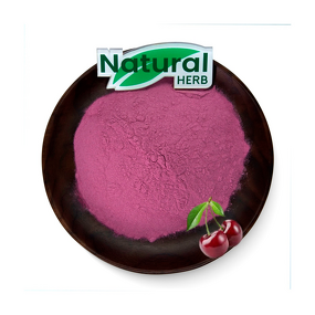 Cherry Fruit Extract Powder Supplier - Food Grade Water Soluble Vitamin-Infused