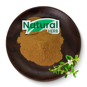 Bacopa Extract Supplier - Food Grade Bacopa Glycoside Powder HPLC Flavonoids