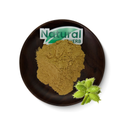 Xanthium Sibiricum Extract Manufacturer - Wholesale Natural Food Grade Wild Cultivated