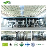 Nervonic Acid Powder Factory - Factory Direct Cosmetic Grade Acer Truncatum Extract