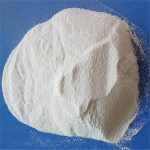 Citric Acid Powder Manufacturer - Anhydrous Monohydrate Food Grade 25kg Bag Bulk
