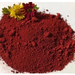 Iron Oxide Red Pigment Manufacturer - Y101/190/130A Inorganic Pigment Powder