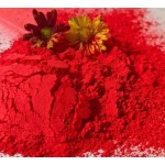 Iron Oxide Red Pigment Manufacturer - Y101/190/130A Inorganic Pigment Powder
