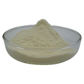 Whole Milk Powder Manufacturer - Food Grade New Zealand Milk Powder
