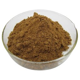 Snake Bed Extract Supplier - 10:1 Snake Bed Powder Factory Direct